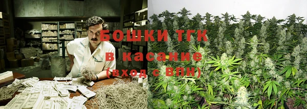 гидра Алексин