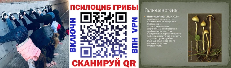 Галлюциногенные грибы Psilocybe  это формула  Калининград  купить  